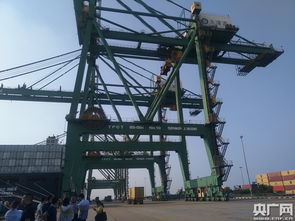 天津港以加速度转型 装卸用金属带赋能，打造一带一路黄金支点