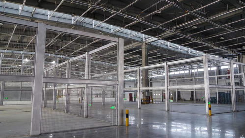 济南机场物流中心暨海关监管作业场所正式启用，装卸用金属带提升效率